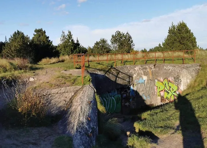 6 Person In Romo Bolilmark