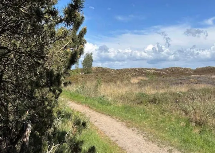 6 Person In Romo * Bolilmark