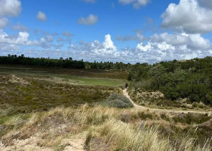 Дом отдыха 6 Person In Romo