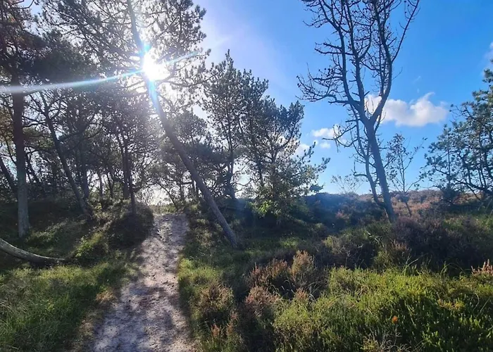 6 Person In Romo Bolilmark