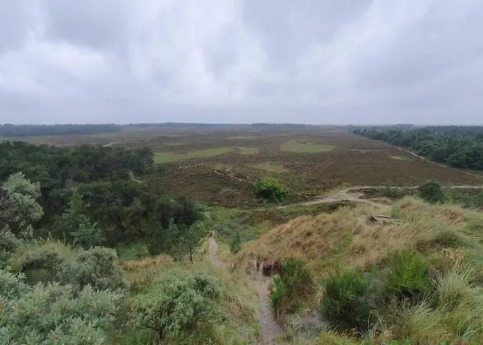 6 Person In Romo Bolilmark