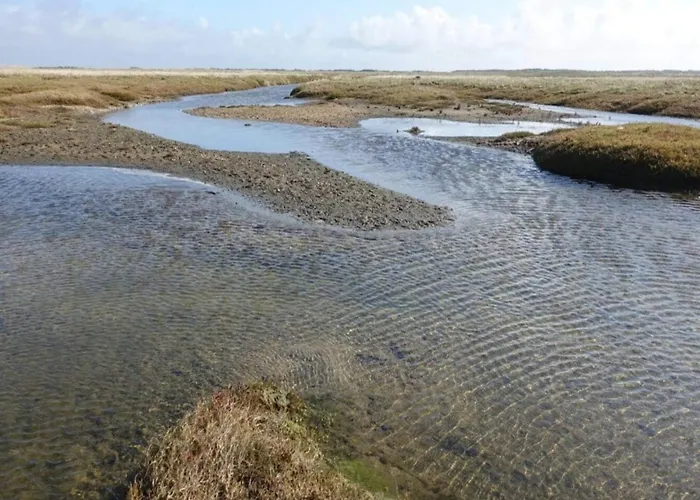 Дом отдыха 6 Person In Romo *